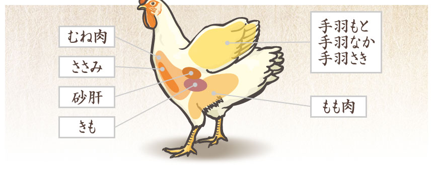 鶏に関する豆知識 京都の鶏肉専門店 鶏楽 けいらく